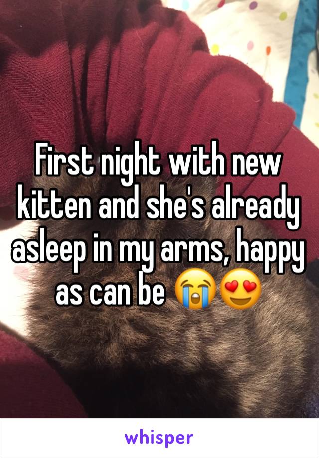 First night with new kitten and she's already asleep in my arms, happy as can be 😭😍