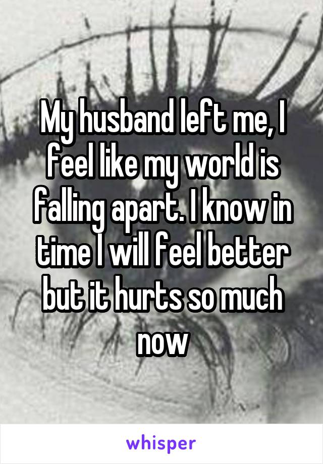 My husband left me, I feel like my world is falling apart. I know in time I will feel better but it hurts so much now