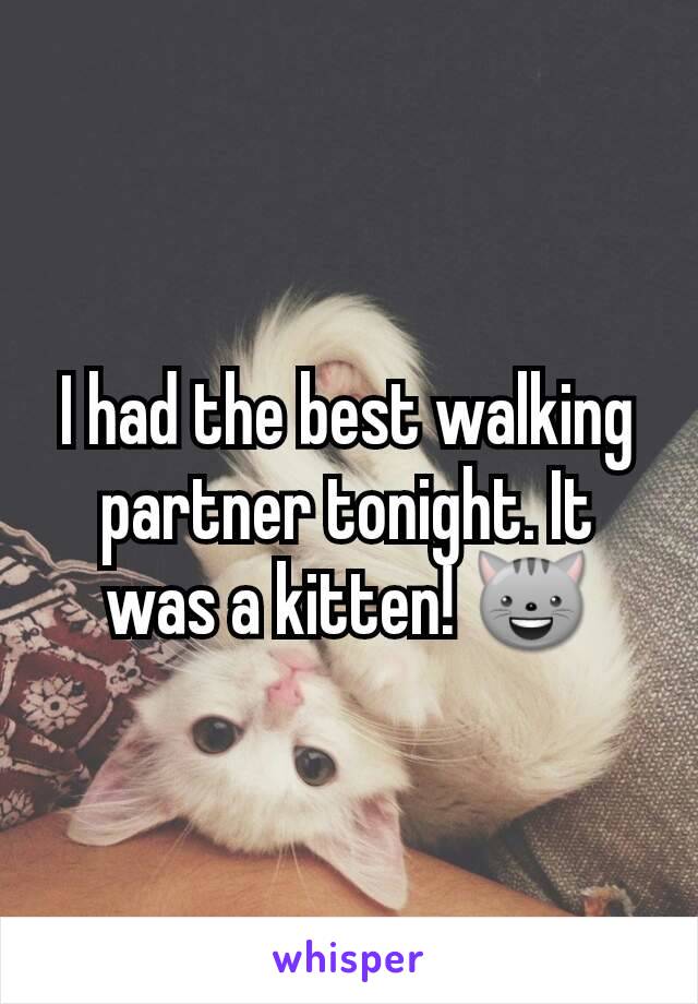 I had the best walking partner tonight. It was a kitten! 😺