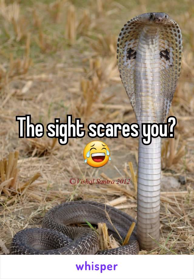 The sight scares you? 😂