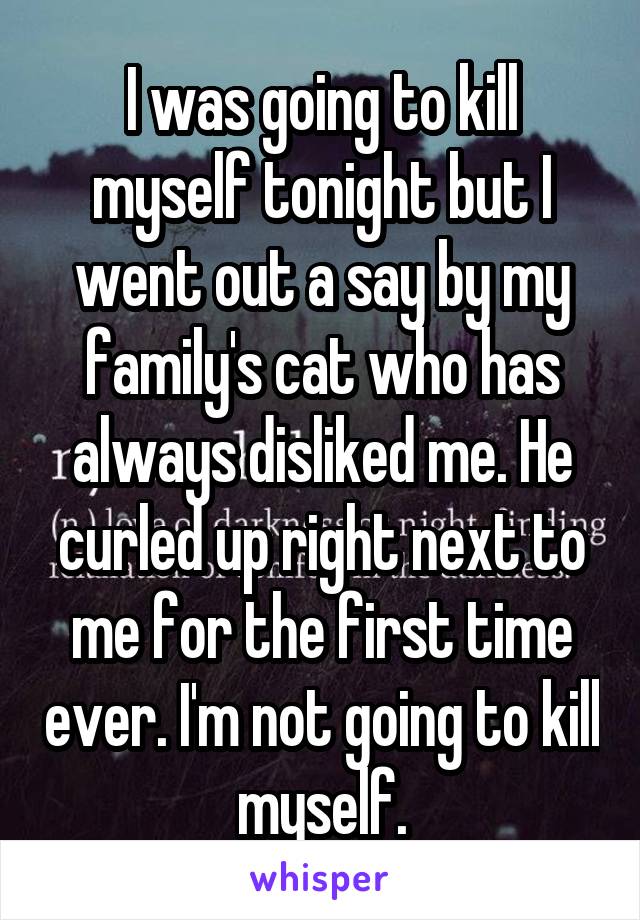 I was going to kill myself tonight but I went out a say by my family's cat who has always disliked me. He curled up right next to me for the first time ever. I'm not going to kill myself.