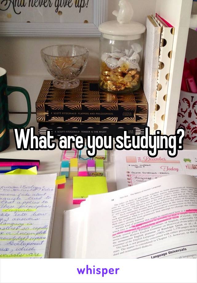 What are you studying?