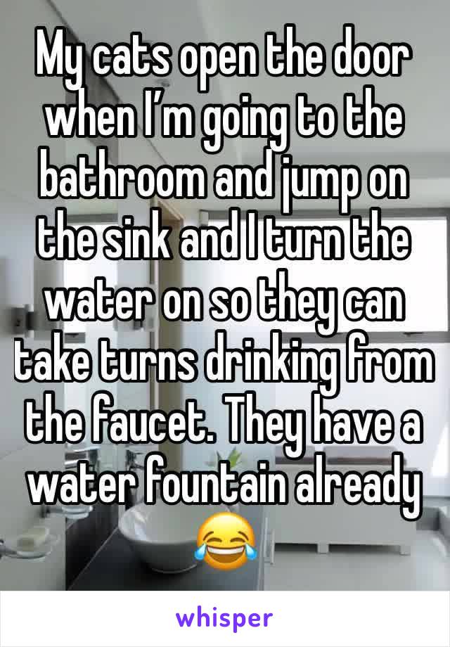 My cats open the door when I’m going to the bathroom and jump on the sink and I turn the water on so they can take turns drinking from the faucet. They have a water fountain already 😂