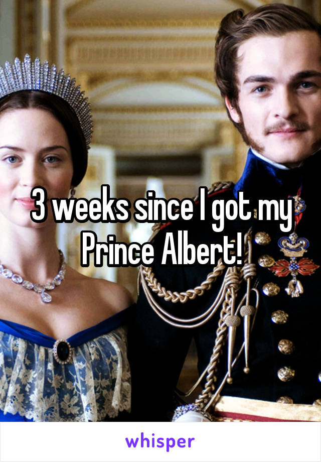 3 weeks since I got my Prince Albert!