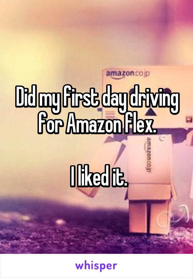 Did my first day driving for Amazon flex.

 I liked it.