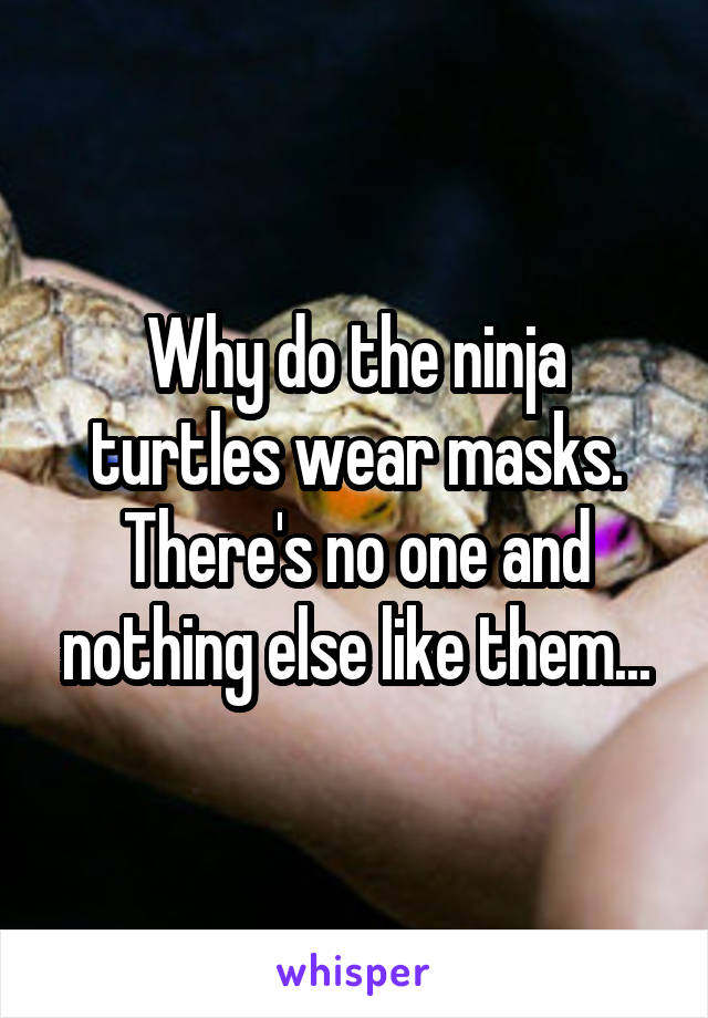 Why do the ninja turtles wear masks. There's no one and nothing else like them...