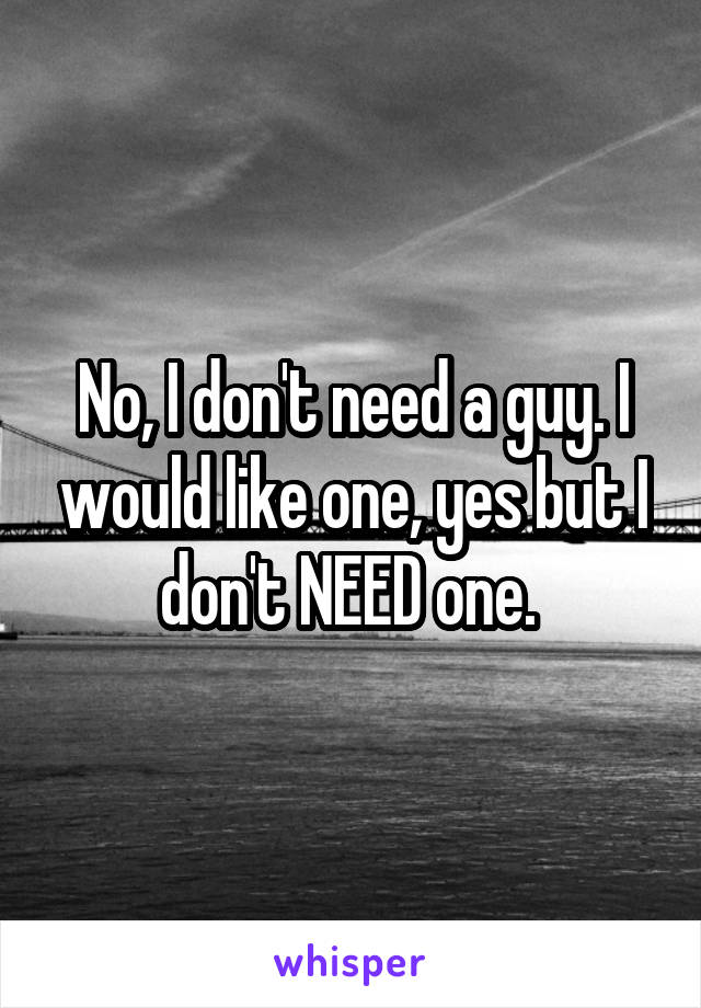 No, I don't need a guy. I would like one, yes but I don't NEED one. 