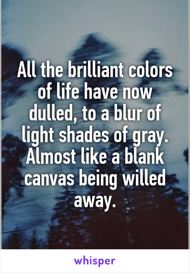 All the brilliant colors of life have now dulled, to a blur of light shades of gray. Almost like a blank canvas being willed away.