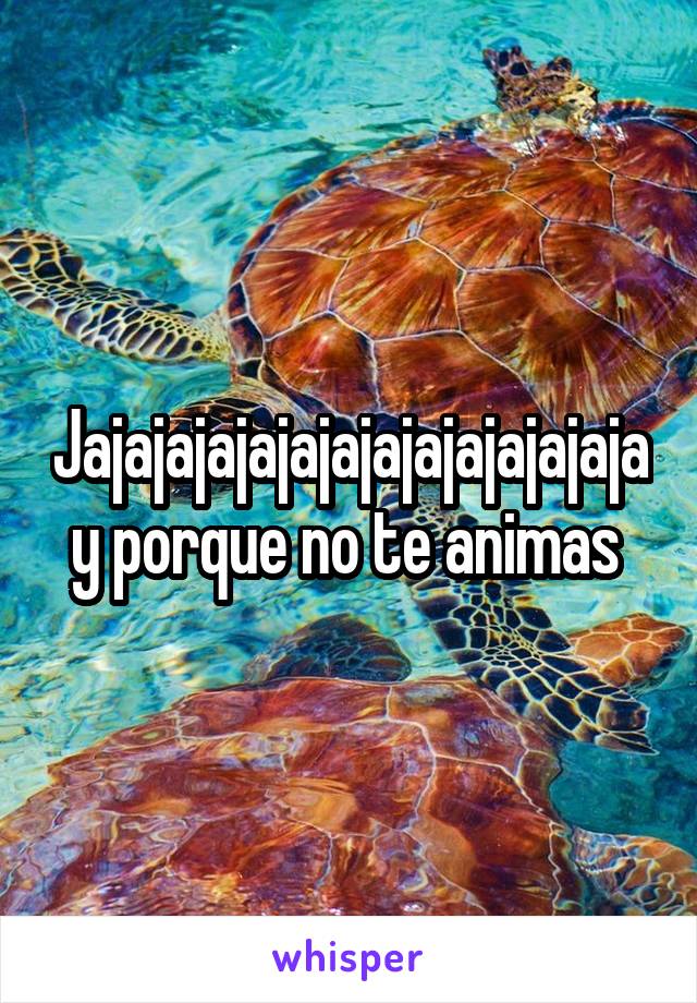 Jajajajajajajajajajajajajaja y porque no te animas 