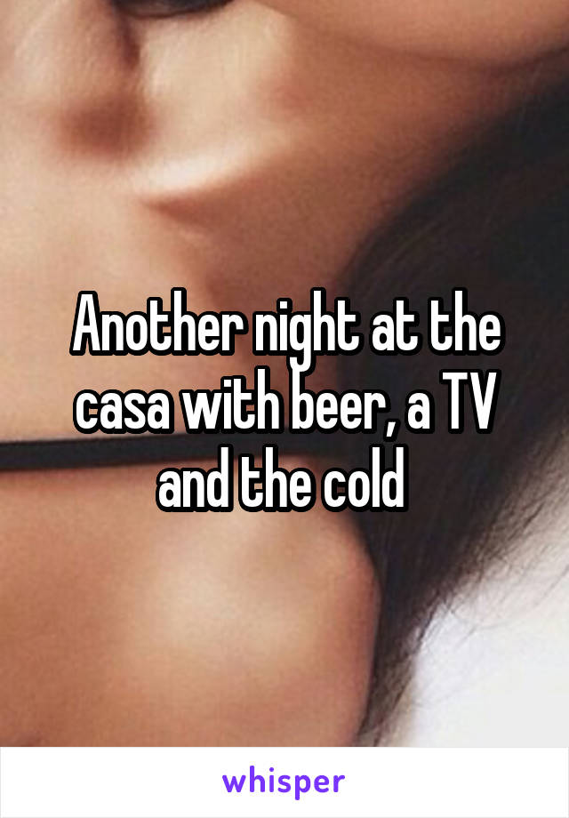 Another night at the casa with beer, a TV and the cold 