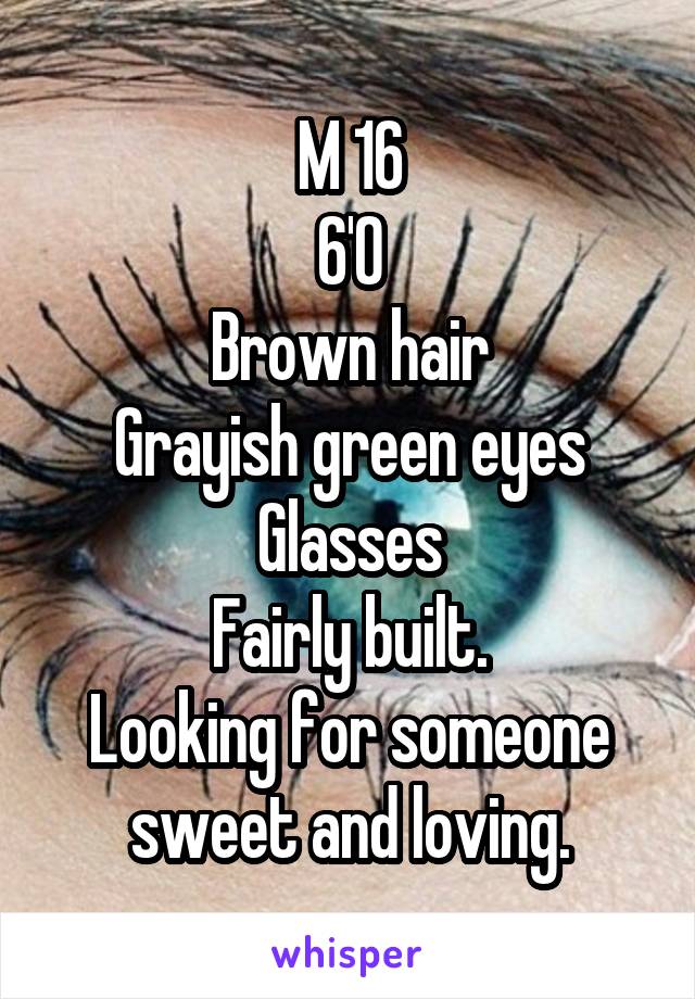 M 16
6'0
Brown hair
Grayish green eyes
Glasses
Fairly built.
Looking for someone sweet and loving.