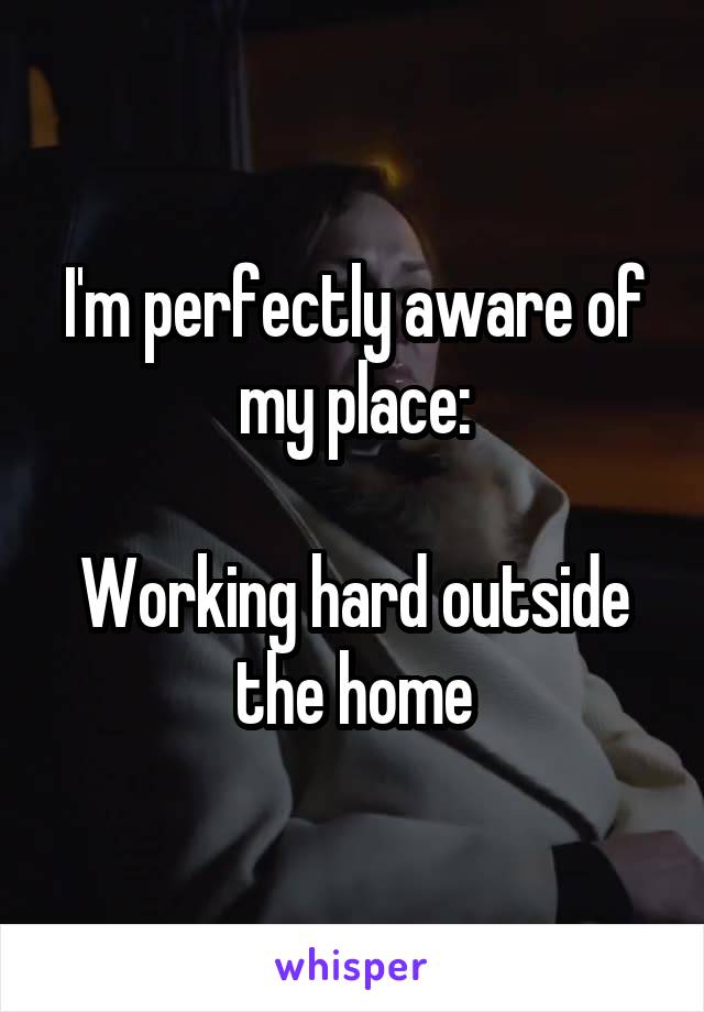 I'm perfectly aware of my place:

Working hard outside the home