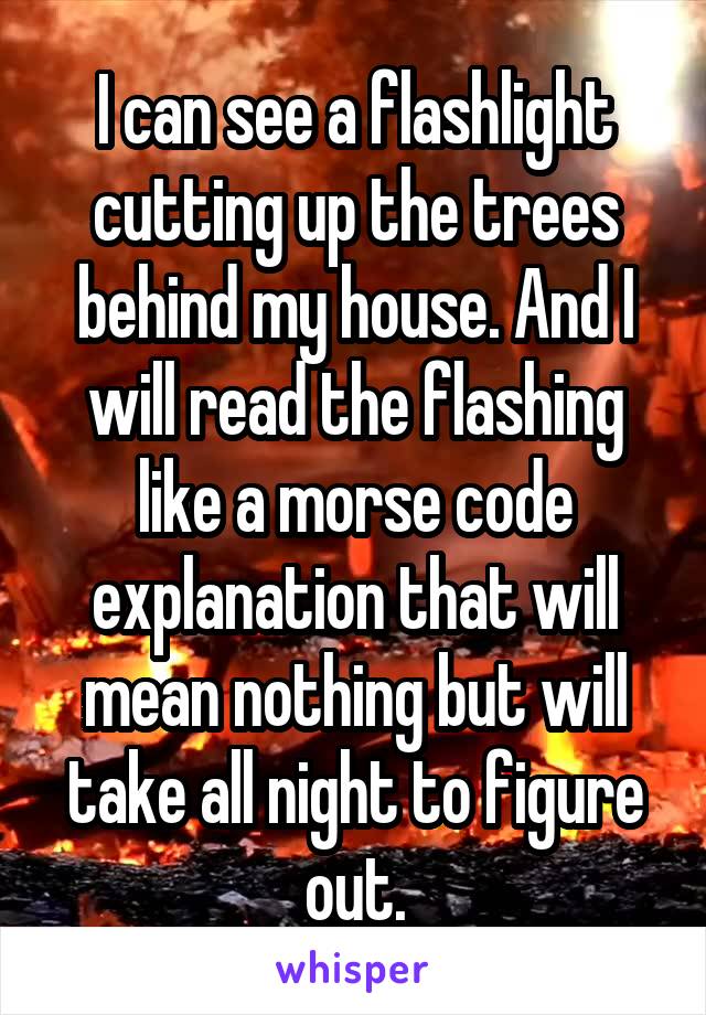 I can see a flashlight cutting up the trees behind my house. And I will read the flashing like a morse code explanation that will mean nothing but will take all night to figure out.