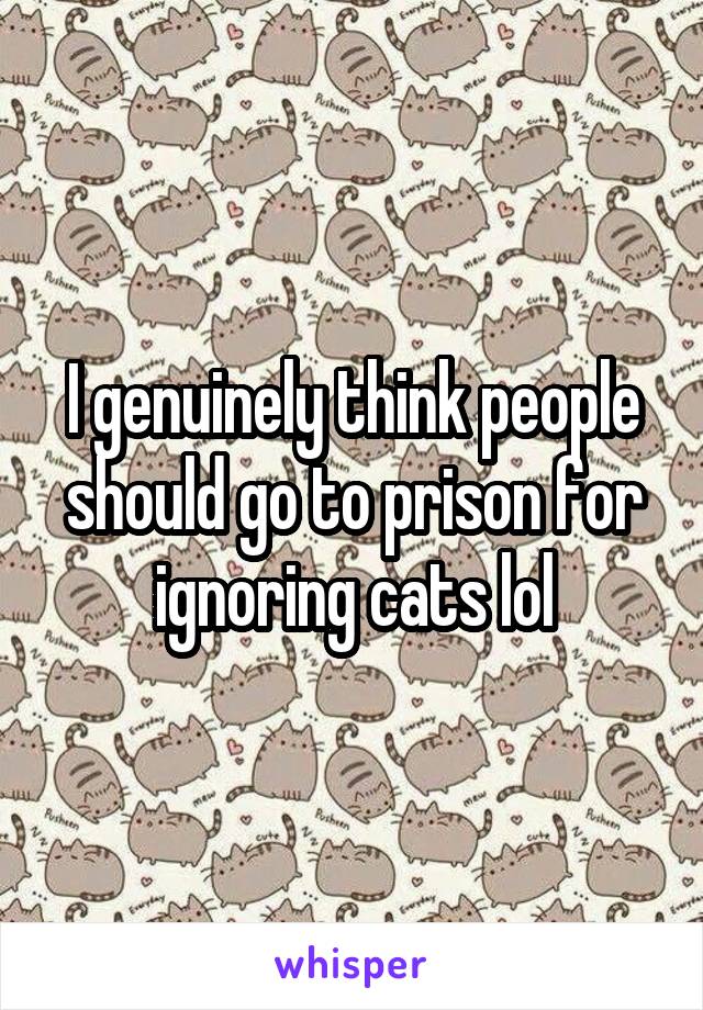 I genuinely think people should go to prison for ignoring cats lol