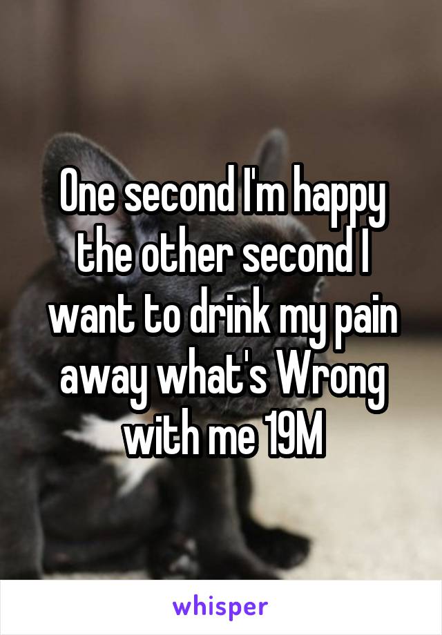 One second I'm happy the other second I want to drink my pain away what's Wrong with me 19M