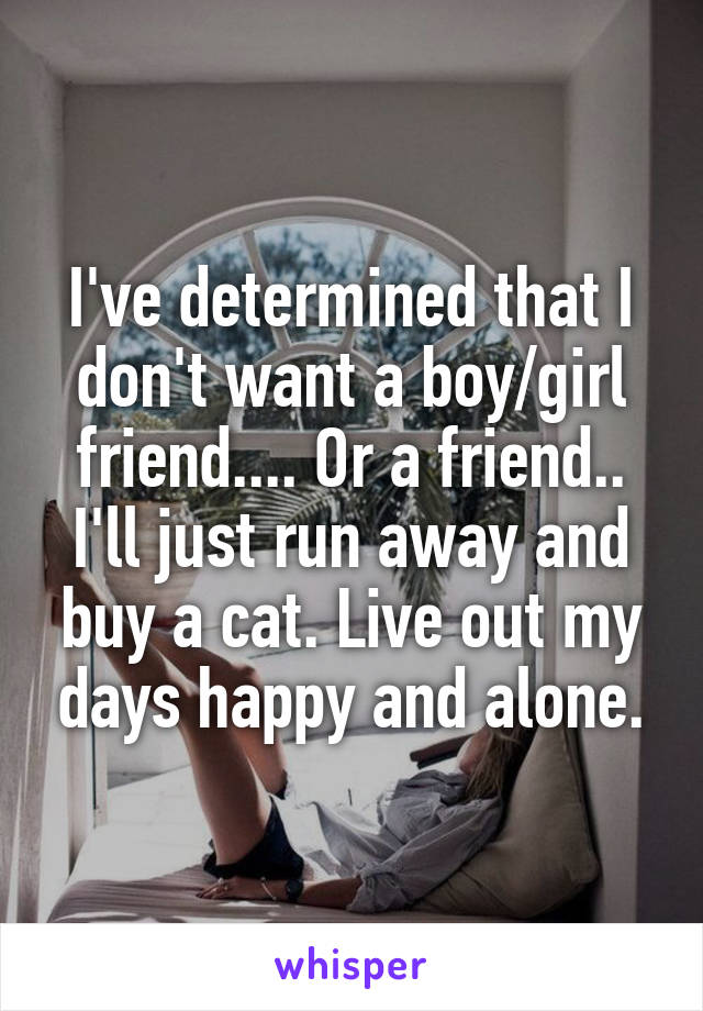 I've determined that I don't want a boy/girl friend.... Or a friend.. I'll just run away and buy a cat. Live out my days happy and alone.