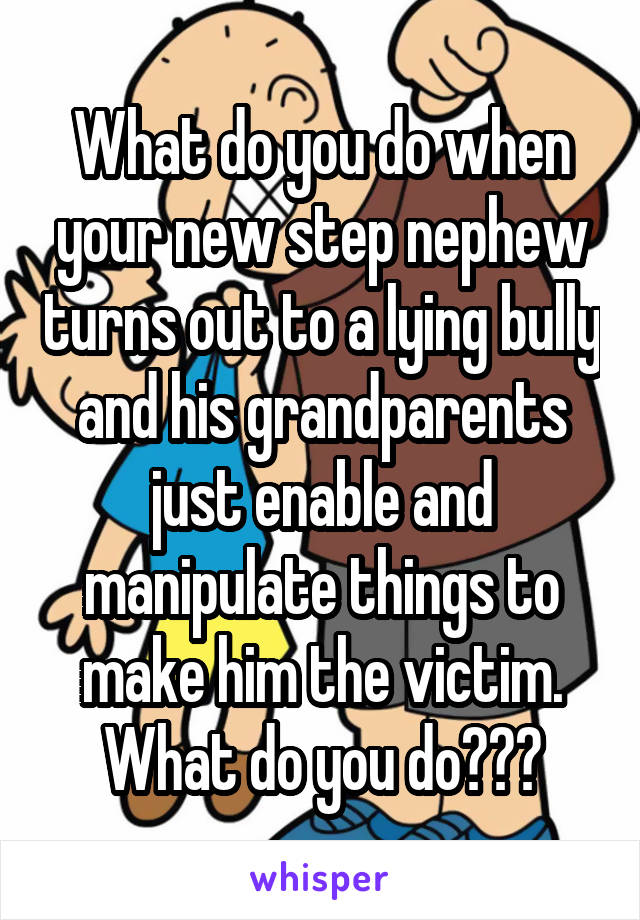 What do you do when your new step nephew turns out to a lying bully and his grandparents just enable and manipulate things to make him the victim. What do you do???