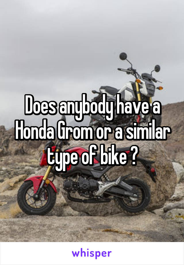 Does anybody have a Honda Grom or a similar type of bike ?