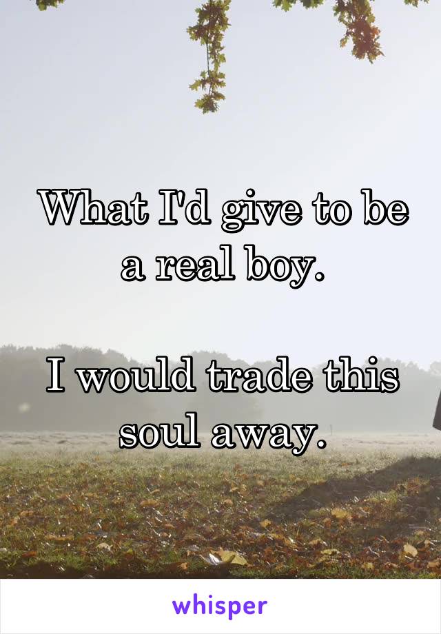 What I'd give to be a real boy.

I would trade this soul away.