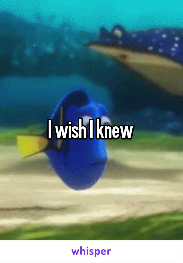 I wish I knew 