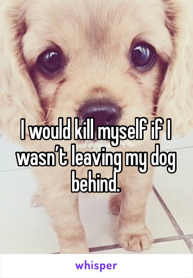 I would kill myself if I wasn’t leaving my dog behind. 