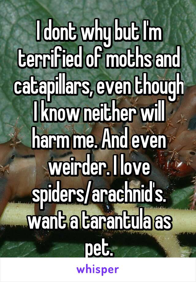 I dont why but I'm terrified of moths and catapillars, even though I know neither will harm me. And even weirder. I love spiders/arachnid's. want a tarantula as pet.