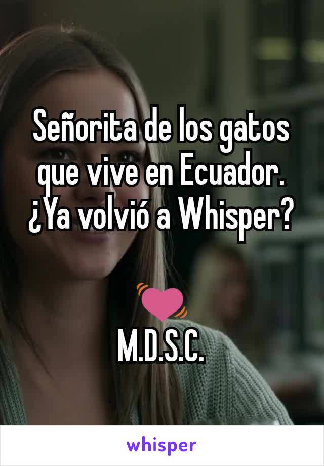 Señorita de los gatos que vive en Ecuador. ¿Ya volvió a Whisper?

💓
M.D.S.C.