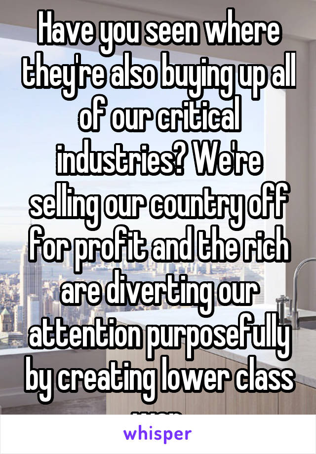 Have you seen where they're also buying up all of our critical industries? We're selling our country off for profit and the rich are diverting our attention purposefully by creating lower class war.