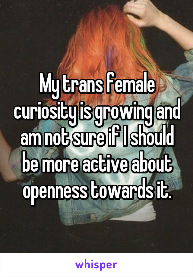 My trans female curiosity is growing and am not sure if I should be more active about openness towards it.