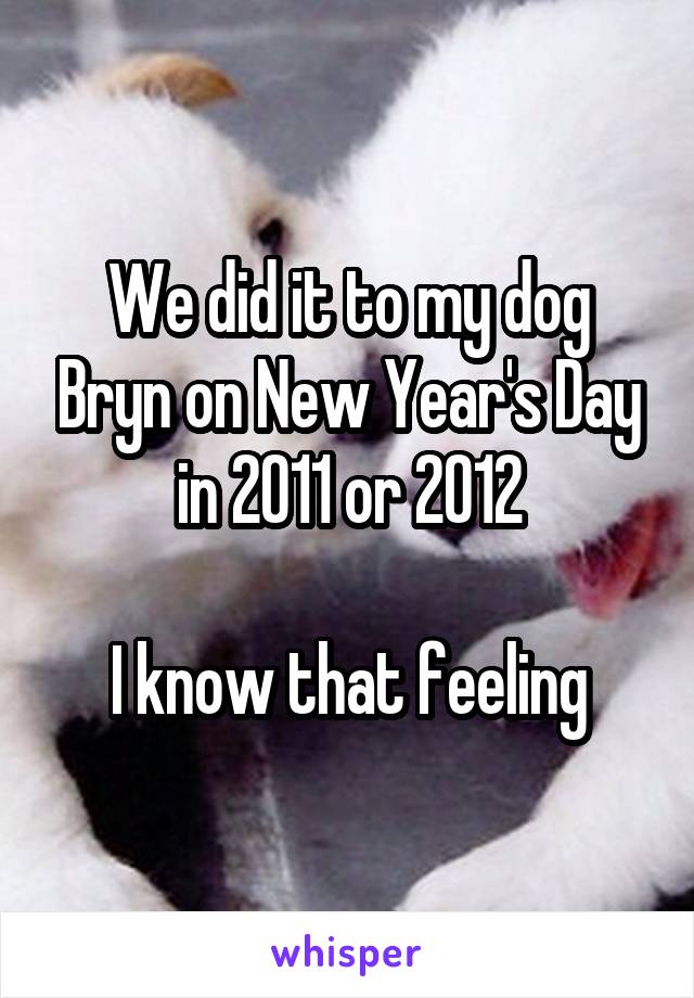 We did it to my dog Bryn on New Year's Day in 2011 or 2012

I know that feeling