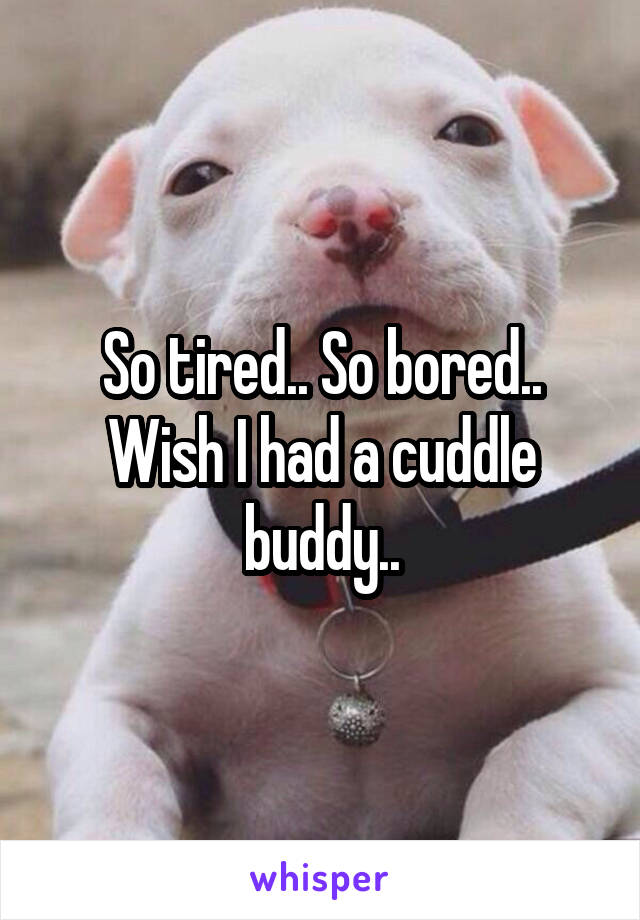 So tired.. So bored.. Wish I had a cuddle buddy..