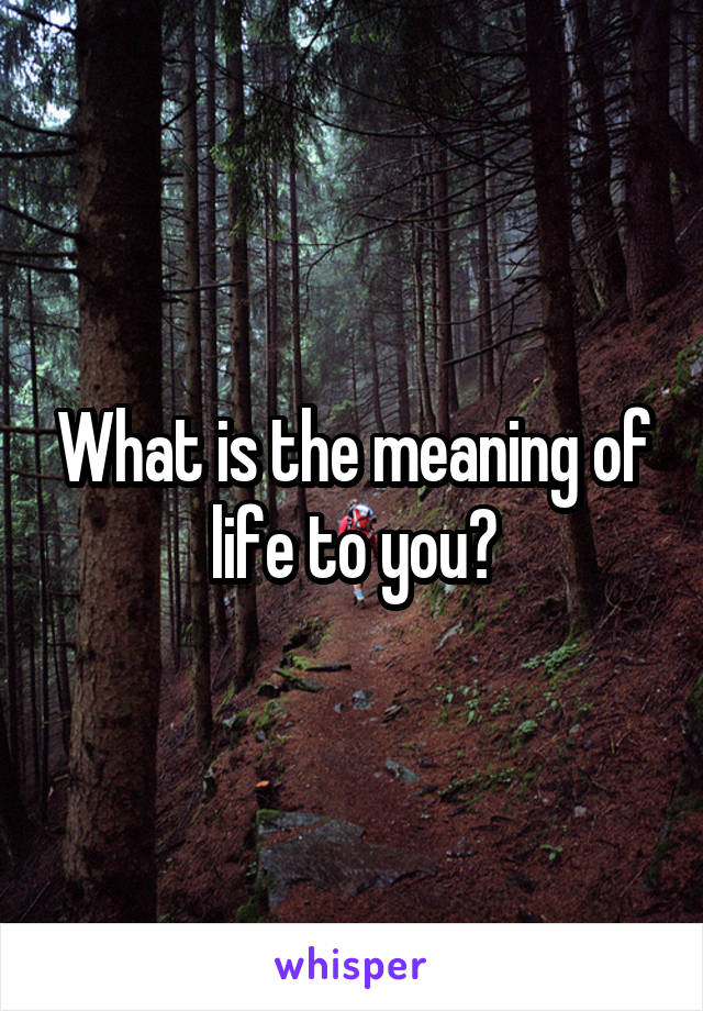 What is the meaning of life to you?