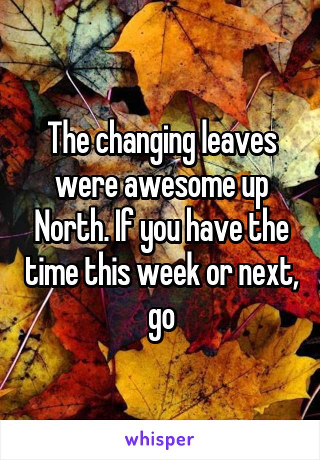 The changing leaves were awesome up North. If you have the time this week or next, go