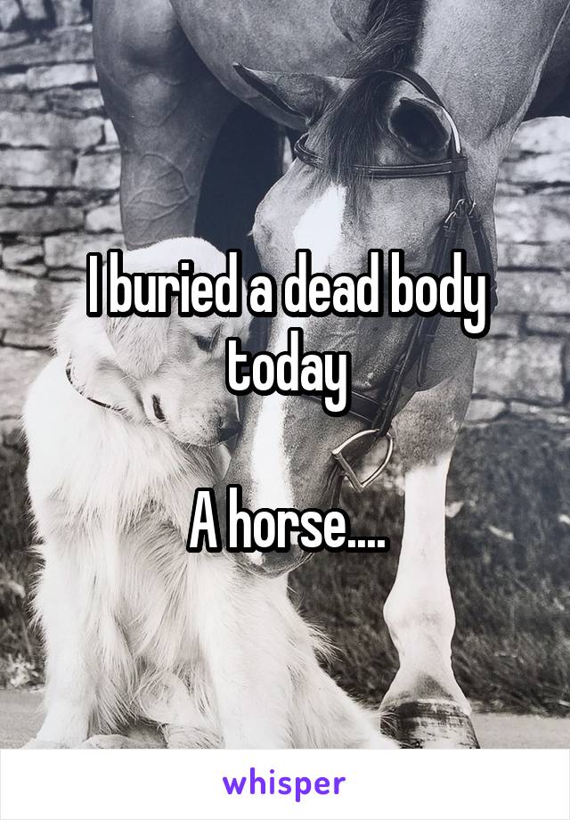 I buried a dead body today

A horse....