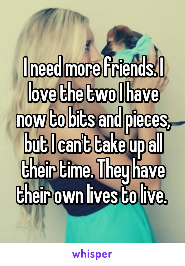 I need more friends. I love the two I have now to bits and pieces, but I can't take up all their time. They have their own lives to live. 