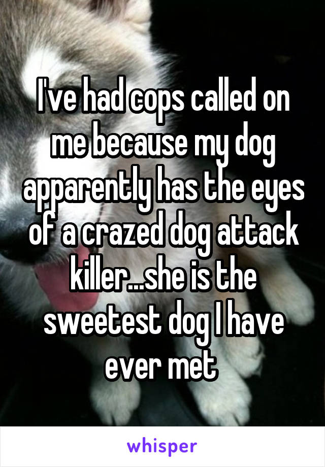 I've had cops called on me because my dog apparently has the eyes of a crazed dog attack killer...she is the sweetest dog I have ever met 