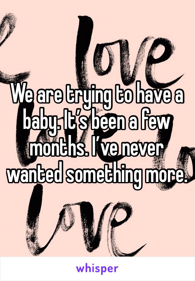 We are trying to have a baby. It’s been a few months. I’ve never wanted something more. 