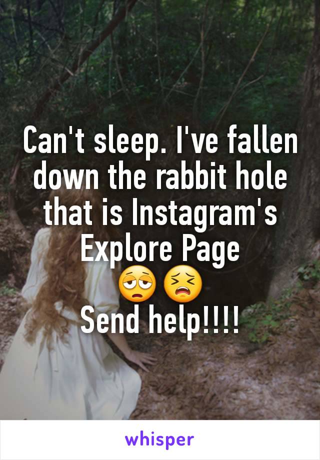 Can't sleep. I've fallen down the rabbit hole that is Instagram's Explore Page
😩😣
Send help!!!!