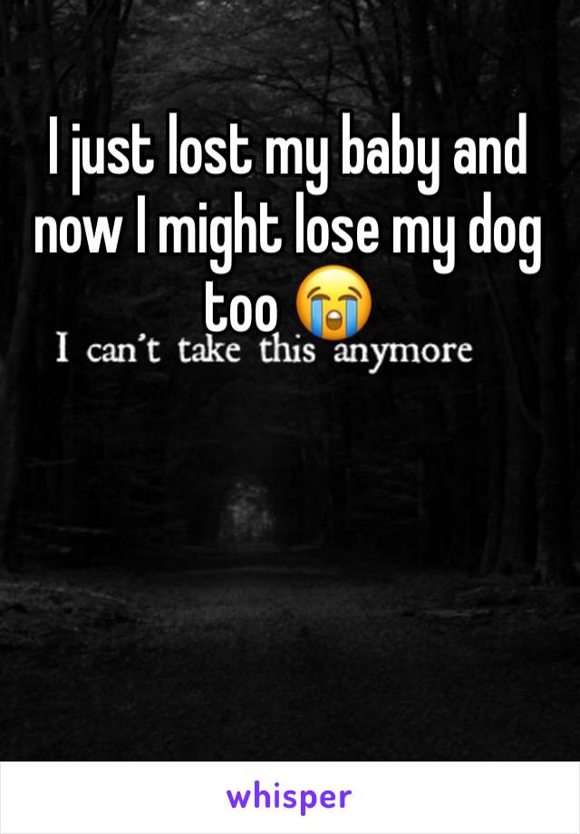 I just lost my baby and now I might lose my dog too 😭