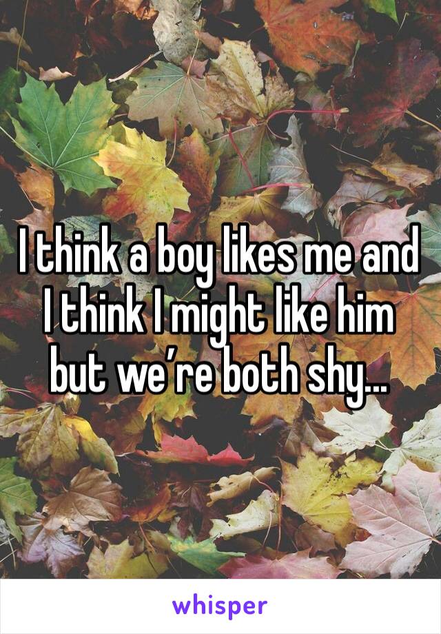 I think a boy likes me and I think I might like him but we’re both shy...