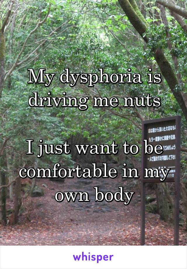 My dysphoria is driving me nuts

I just want to be comfortable in my own body