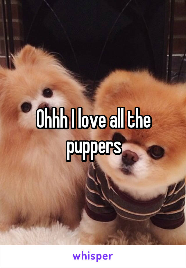 Ohhh I love all the puppers