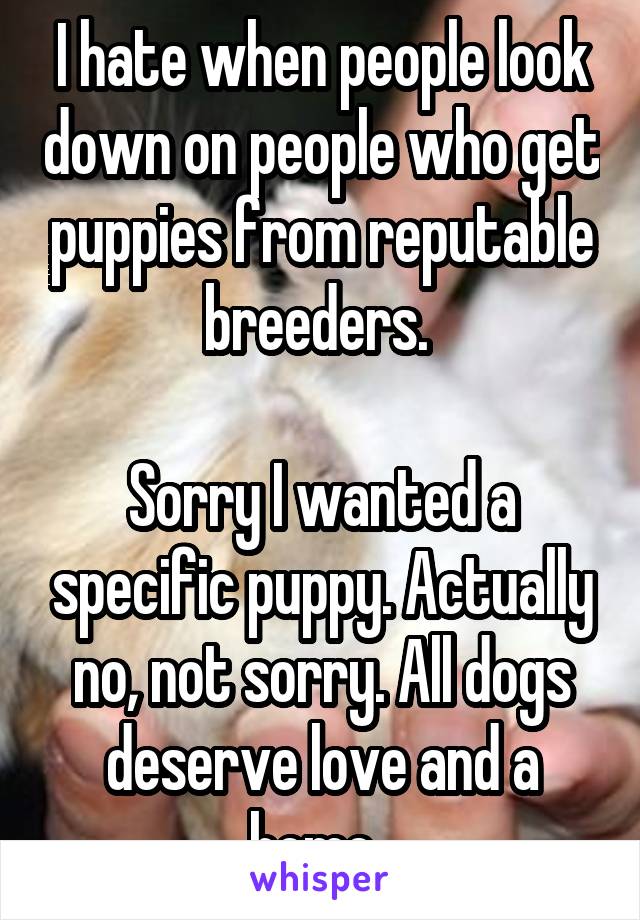 I hate when people look down on people who get puppies from reputable breeders. 

Sorry I wanted a specific puppy. Actually no, not sorry. All dogs deserve love and a home. 