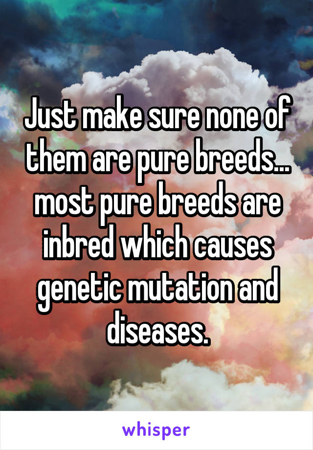 Just make sure none of them are pure breeds... most pure breeds are inbred which causes genetic mutation and diseases.