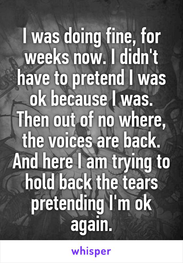 I was doing fine, for weeks now. I didn't have to pretend I was ok because I was. Then out of no where, the voices are back. And here I am trying to hold back the tears pretending I'm ok again.