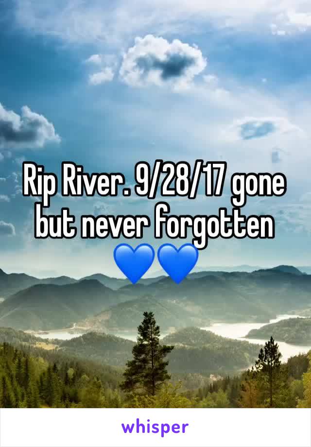 Rip River. 9/28/17 gone but never forgotten     💙💙