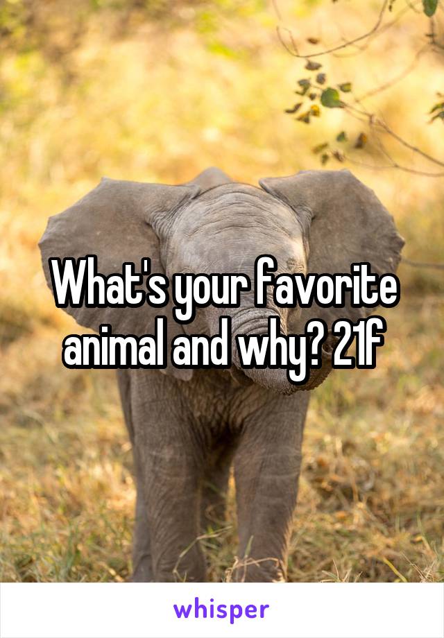 What's your favorite animal and why? 21f