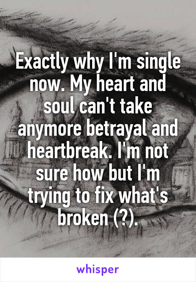 Exactly why I'm single now. My heart and soul can't take anymore betrayal and heartbreak. I'm not sure how but I'm trying to fix what's broken (?).