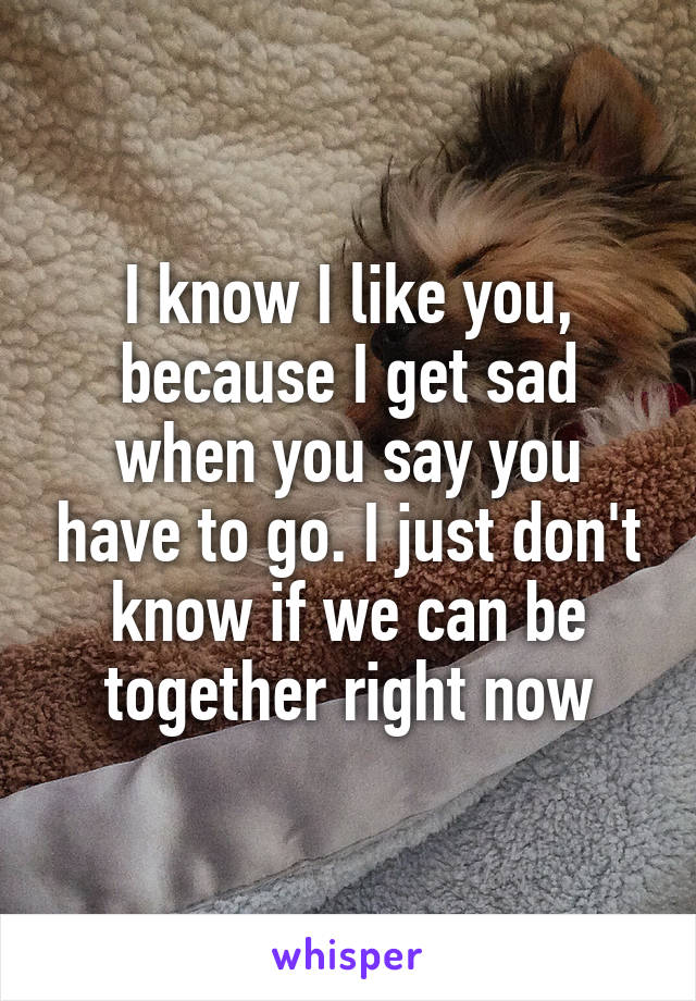 I know I like you, because I get sad when you say you have to go. I just don't know if we can be together right now