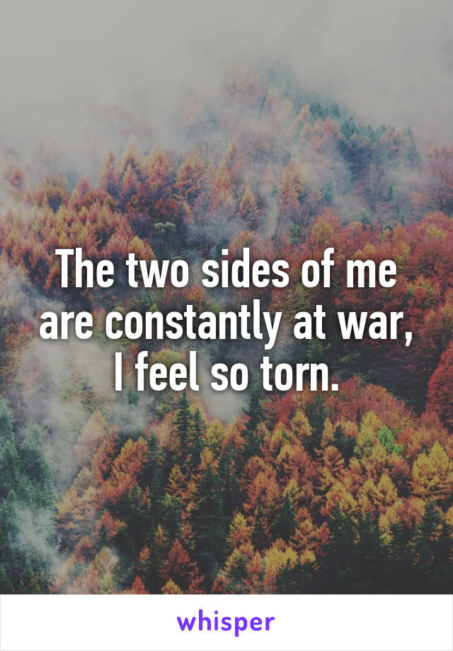 The two sides of me are constantly at war, I feel so torn.